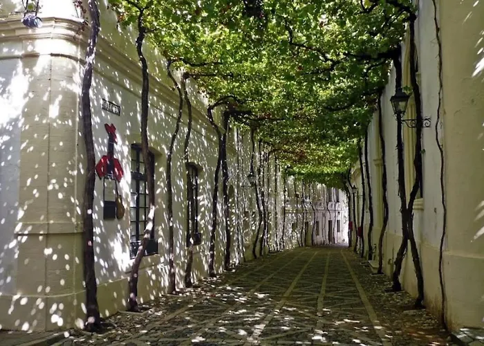 En Pleno Centro De شقة *