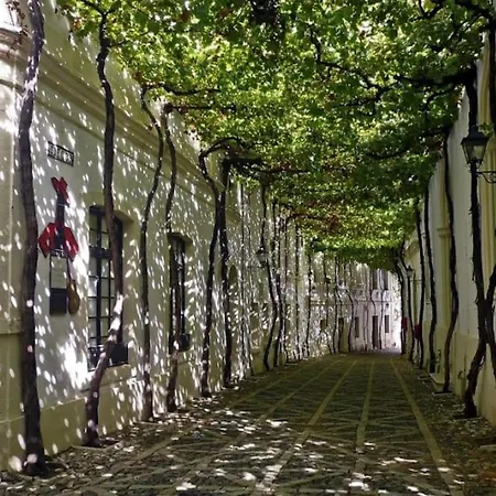 En Pleno Centro De Apartment *